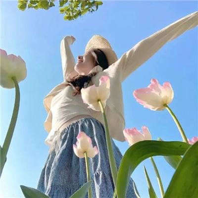 泰皇传奇四部曲